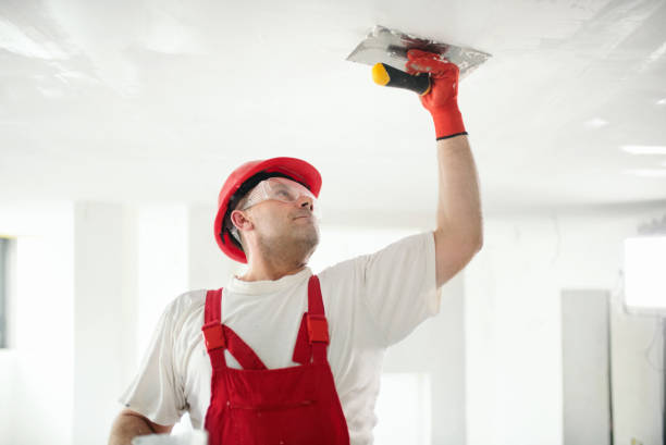 Best Fire-Damaged Drywall Repair  in Fabens, TX